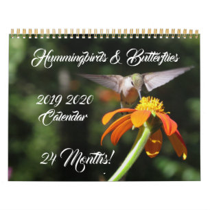Hummingbirds & Butterflies 2019 2020 Calendar