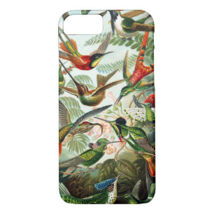 Hummingbirds by Ernst Haeckel iPhone 8/7 Case