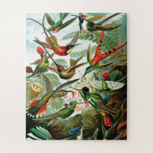 Hummingbirds by Ernst Haeckel Jigsaw Puzzle