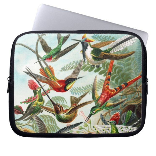 Hummingbirds by Ernst Haeckel Laptop Sleeve (Front)