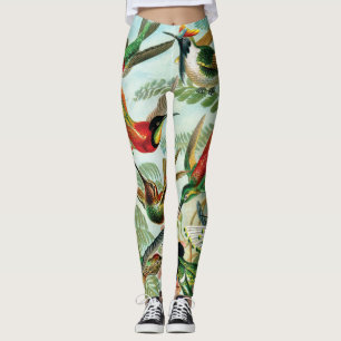 Hummingbirds by Ernst Haeckel Leggings