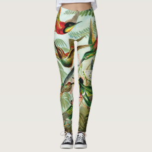 Hummingbirds by Ernst Haeckel Leggings
