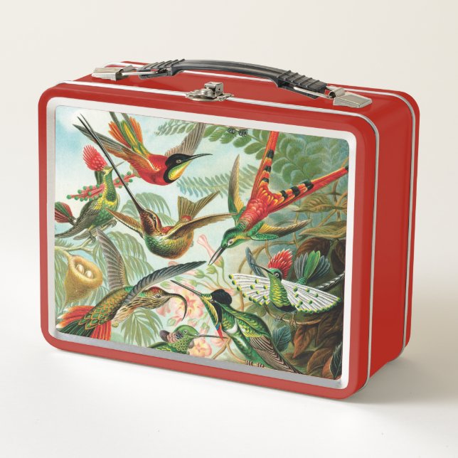 Hummingbirds by Ernst Haeckel Metal Lunch Box (Front)