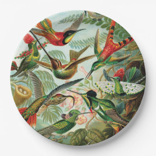 Hummingbirds by Ernst Haeckel Paper Plate