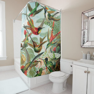 Hummingbirds by Ernst Haeckel Shower Curtain