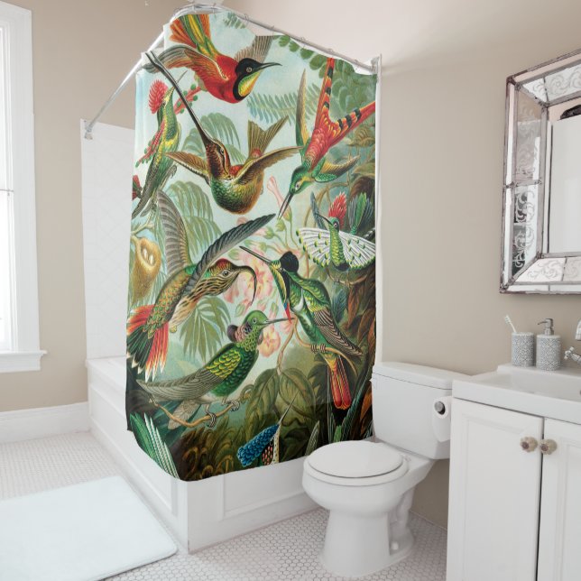 Hummingbirds by Ernst Haeckel Shower Curtain (In Situ)