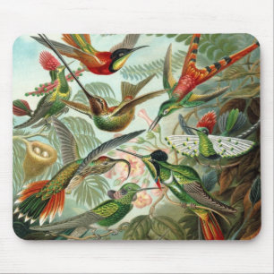 Hummingbirds by Ernst Haeckel, Vintage Birds Trees Mouse Mat