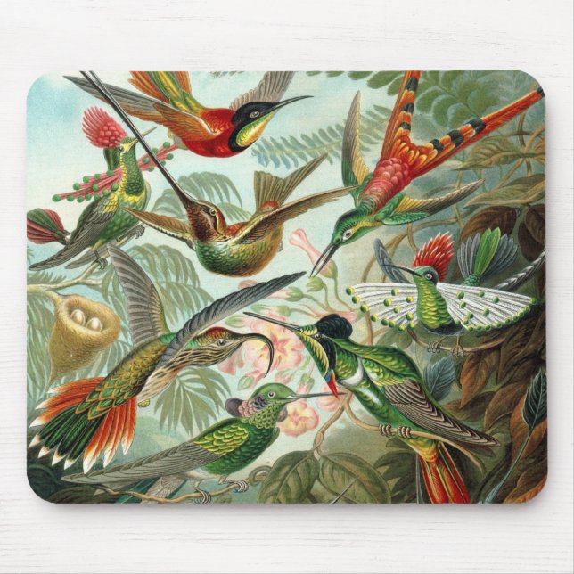 Hummingbirds by Ernst Haeckel, Vintage Birds Trees Mouse Mat (Front)