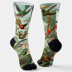 Hummingbirds by Ernst Haeckel, Vintage Birds Trees Socks