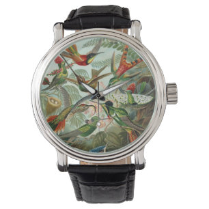 Hummingbirds by Ernst Haeckel, Vintage Birds Trees Watch