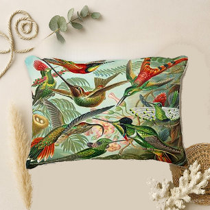 Hummingbirds by Haeckel Trochilidae Decorative Cushion