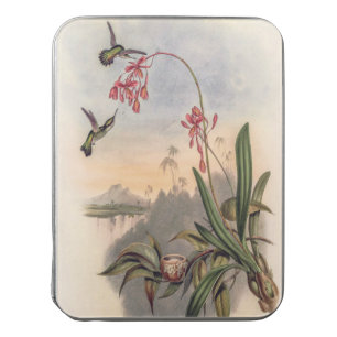 Hummingbirds by John Gould Jigsaw Puzzle