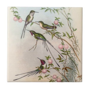 Hummingbirds by John Gould Tile