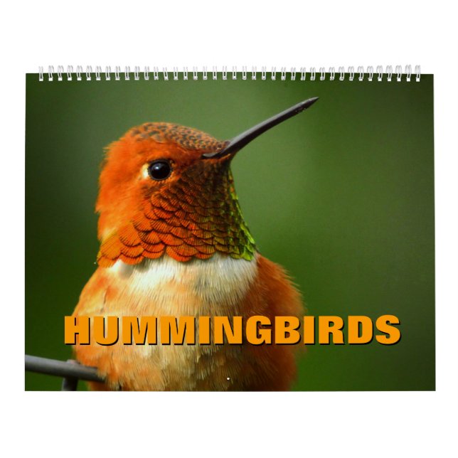 Hummingbirds Calendar (Cover)