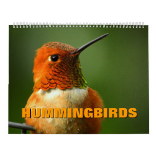 Hummingbirds Calendar