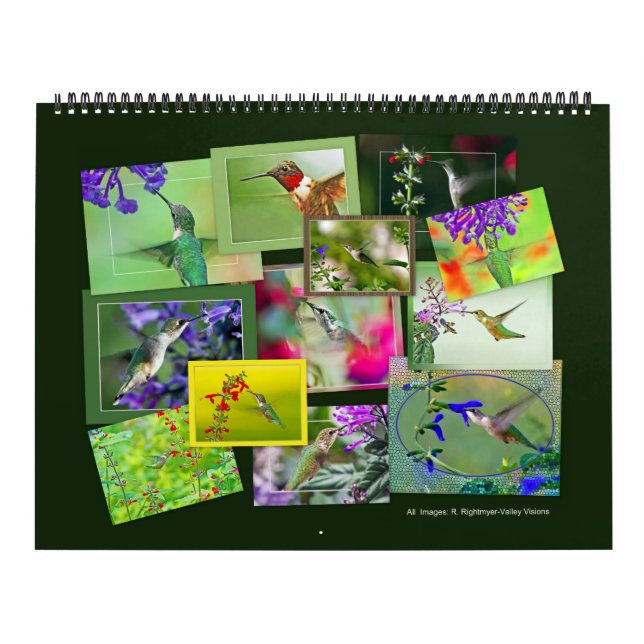 HUMMINGBIRDS  Calendar (Cover)