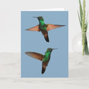 Hummingbirds Card