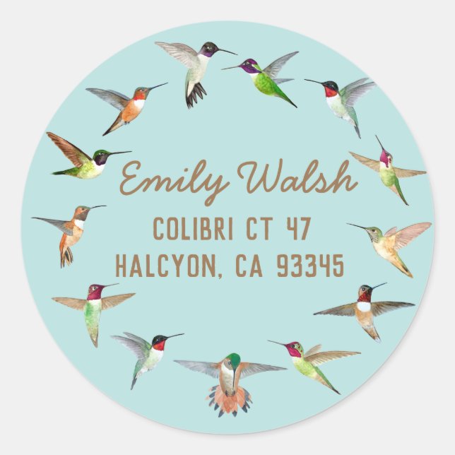 Hummingbirds Classic Round Sticker (Front)