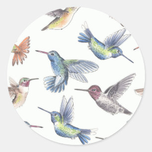 Hummingbirds Classic Round Sticker