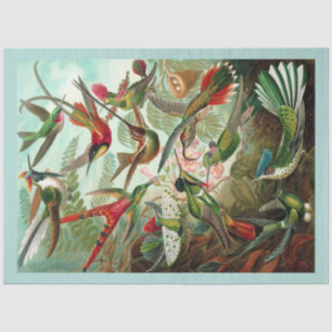 Hummingbirds Decoupage Tissue Paper