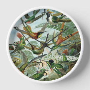  Hummingbirds - Ernst Haeckel Clock