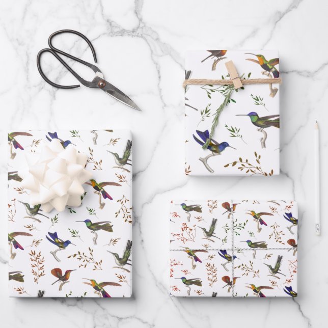 Hummingbirds Floral Colourful Bird Watcher Wrapping Paper Sheet (Front)