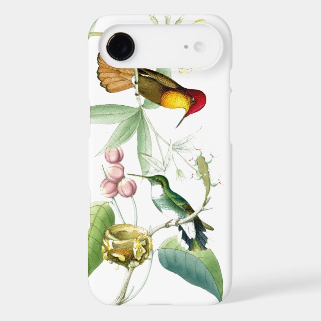 Hummingbirds & Flowers iPhone 5C Case (Back)