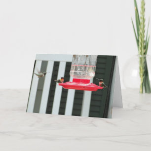 Hummingbirds, Get Together Card