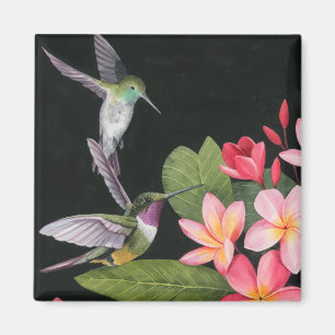 Hummingbirds In the Plumeria Magnet