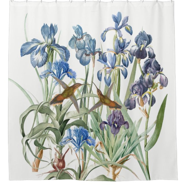 Hummingbirds Iris Flower Garden Shower Curtain (Front)