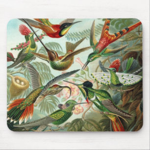 Hummingbirds Mouse Mat