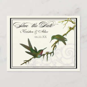 Hummingbirds n Swirls - Save the Date Postcard