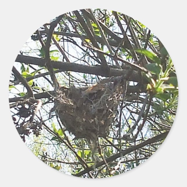 Hummingbird's Nest in Lilac Shrub Square Sticker (Front)
