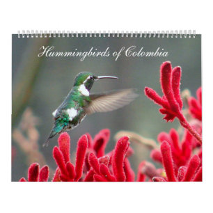 Hummingbirds of Colombia Calendar