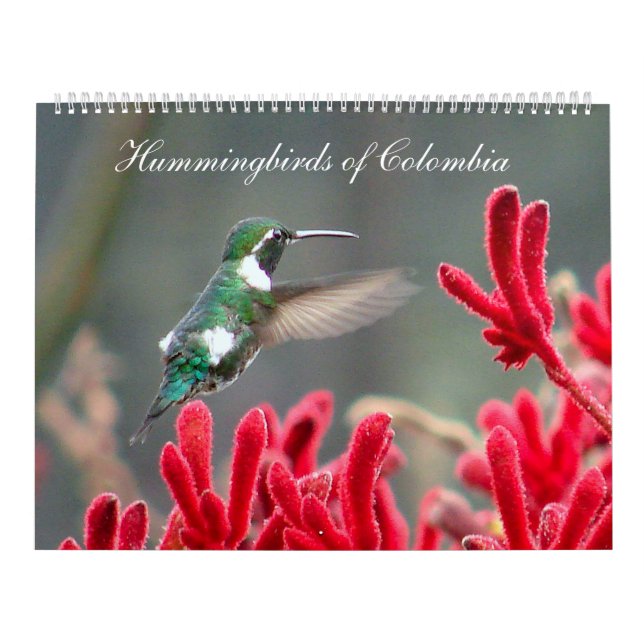 Hummingbirds of Colombia Calendar (Cover)