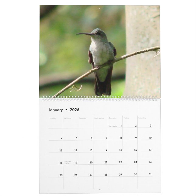 Hummingbirds of Colombia Calendar (Jan 2026)