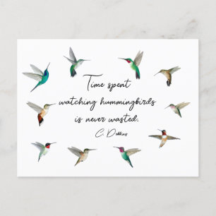 Hummingbirds of North America Postcard