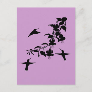 Hummingbirds Postcard