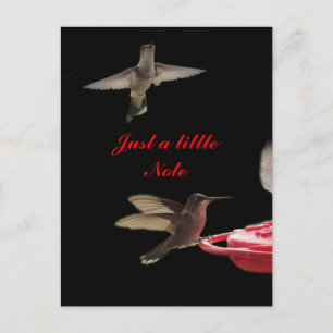Hummingbirds Postcard #ct98721- customise
