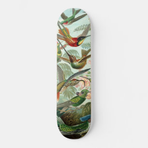 Hummingbirds Skateboard