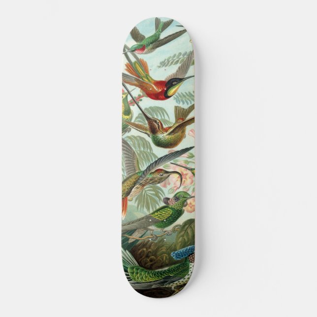Hummingbirds Skateboard (Front)