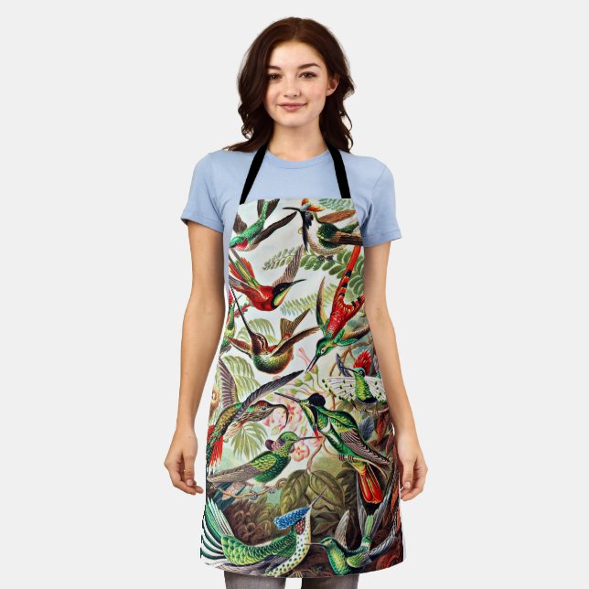 Hummingbirds, vintage illustration apron (Worn)