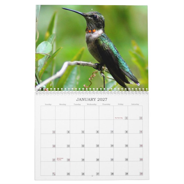 Hummingbirds Year 'Round Calendar (Jan 2027)
