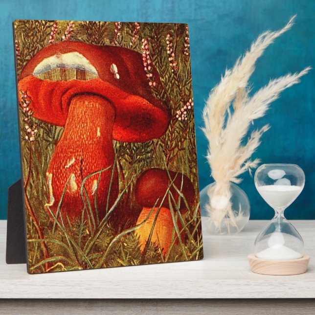 Humongous Fungus Amongus - Vintage Boletus Luridus Plaque (Side)