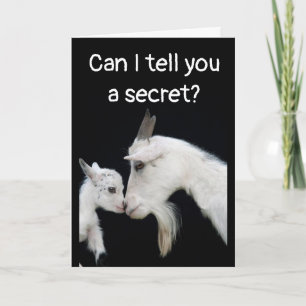 HUMOROUS "BELATED" BIRTHDAY NO BUTTS ABOUT IT! CARD