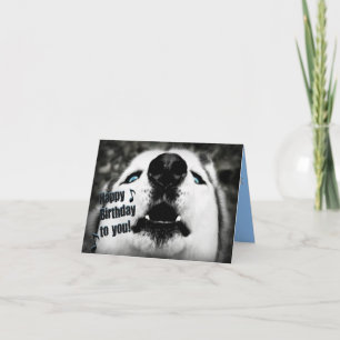 Humorous Birthday Greeting Card