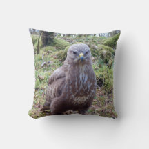 Humorous Buzzard With Attitude Angry Bird Portrait