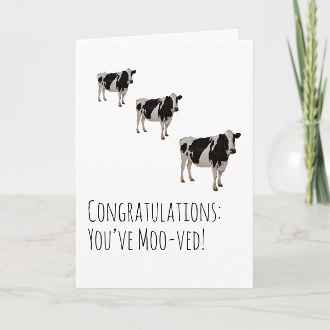 Humorous Cow Moving House Card (Front)
