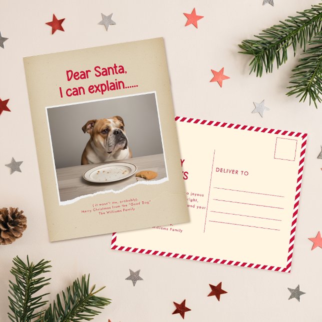Humorous Funny Dog Pet Family Christmas Postcard (Creator Uploaded)