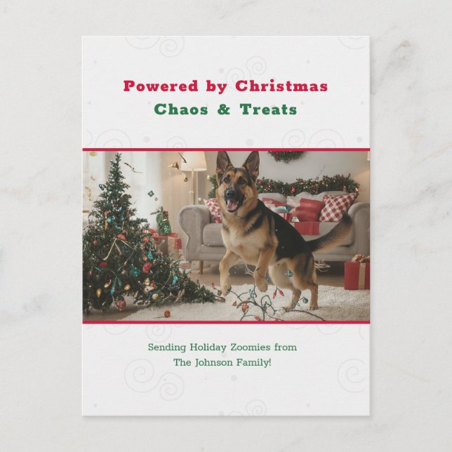 Humorous Funny Pet Dog Photo Christmas Postcard (Front)